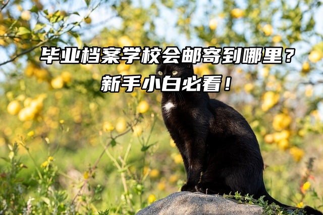 毕业档案学校会邮寄到哪里？新手小白必看！