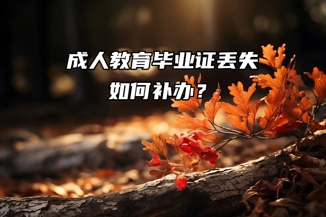 围观：成人教育毕业证丢失如何补办？