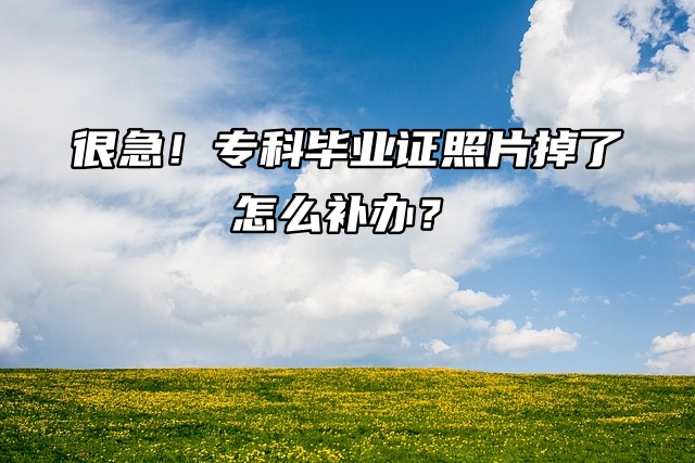 很急！专科毕业证照片掉了怎么补办？