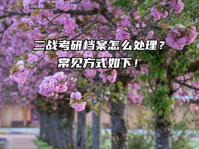 二战考研档案怎么处理？常见方式如下！