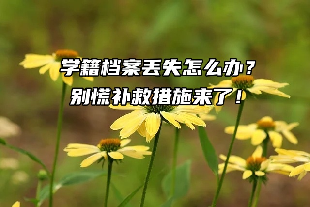 学籍档案丢失怎么办？别慌补救措施来了！