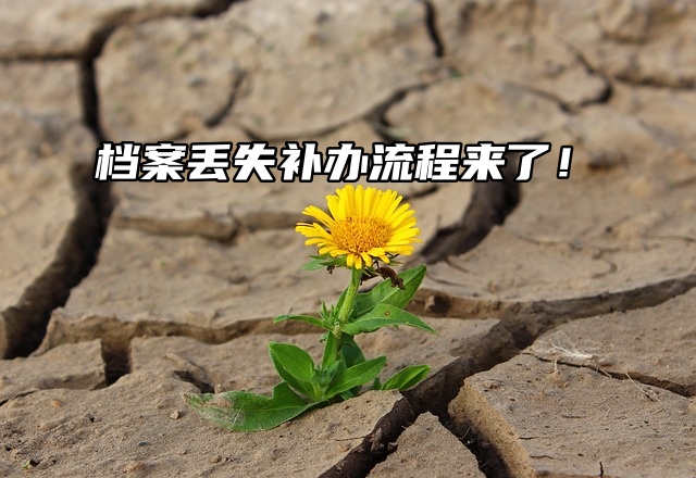 毕业后档案丢了很慌！档案丢失补办流程来了！