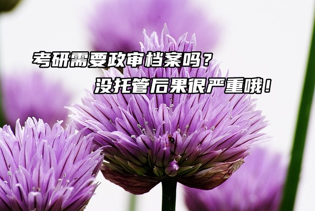 考研需要政审档案吗？没托管后果很严重哦！