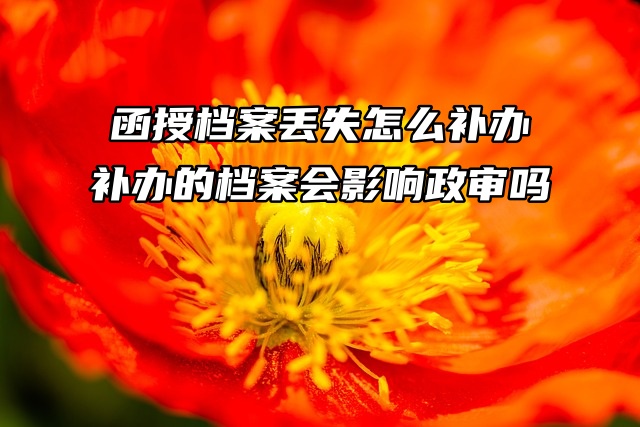 函授档案丢失怎么补办？补办的档案会影响政审吗？