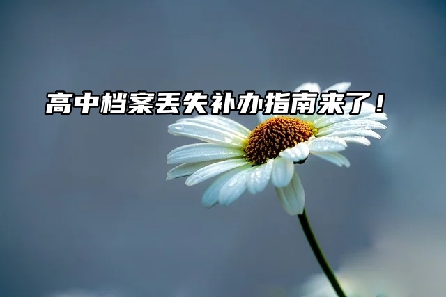 档案丢失补办：高中档案丢失补办指南来了！