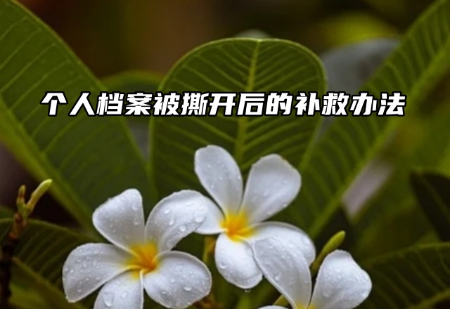 死档激活：个人档案被撕开后的补救办法速看！