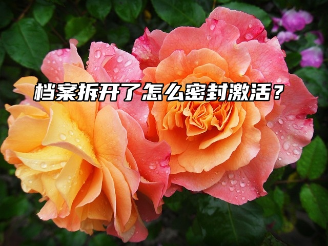 档案拆开了怎么密封激活？