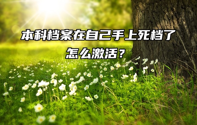 本科档案在自己手上死档了怎么激活？