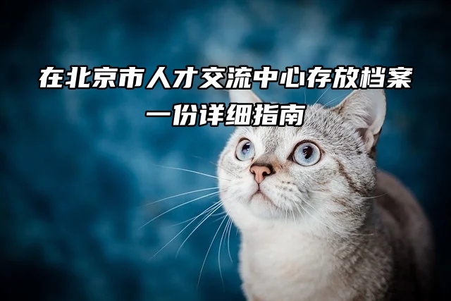 在北京市人才交流中心存放档案：一份详细指南