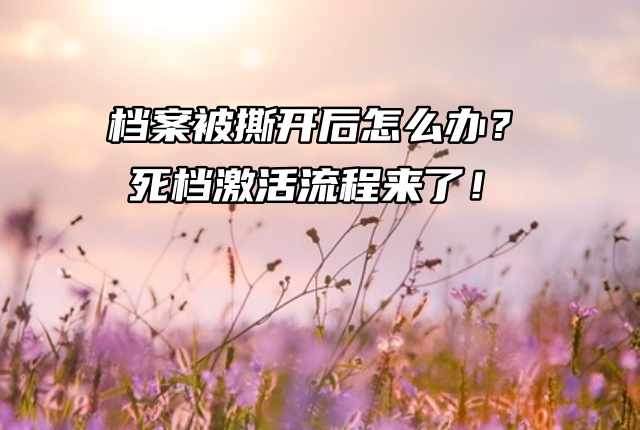 档案被撕开后怎么办？死档激活流程来了！