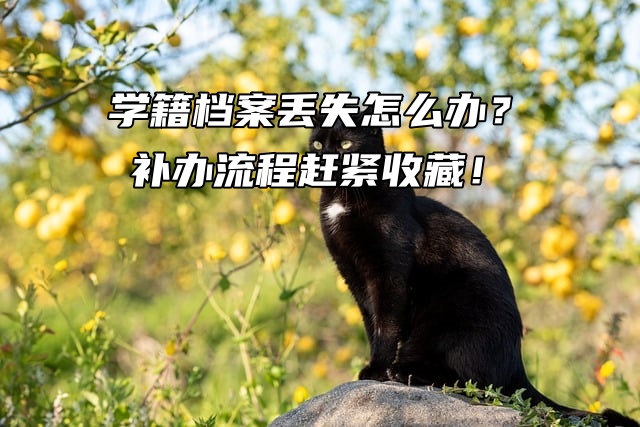 学籍档案丢失怎么办？补办流程赶紧收藏！