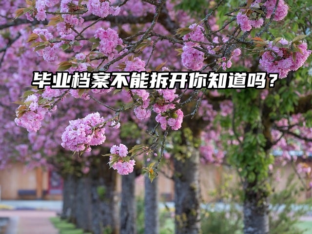 毕业档案不能拆开你知道吗？