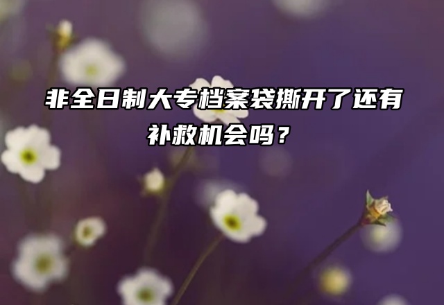 非全日制大专档案袋撕开了还有补救机会吗？