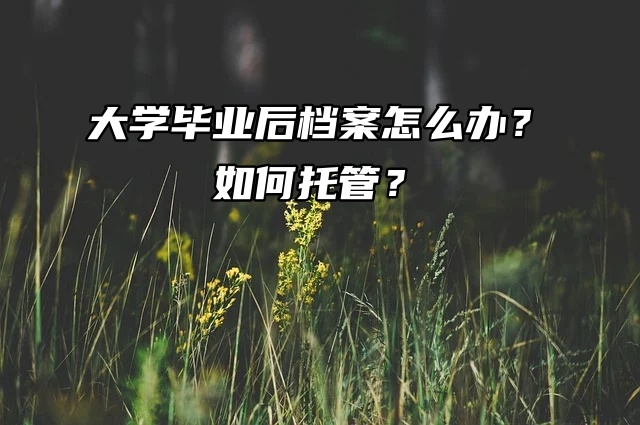 大学毕业后档案怎么办？如何托管？