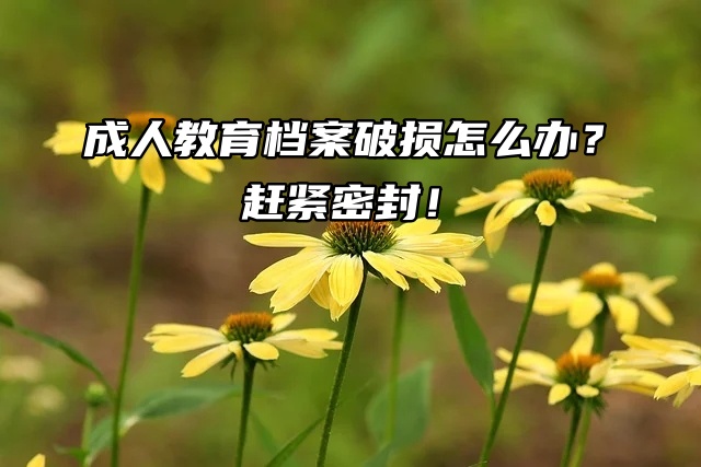 成人教育档案破损怎么办？赶紧密封！