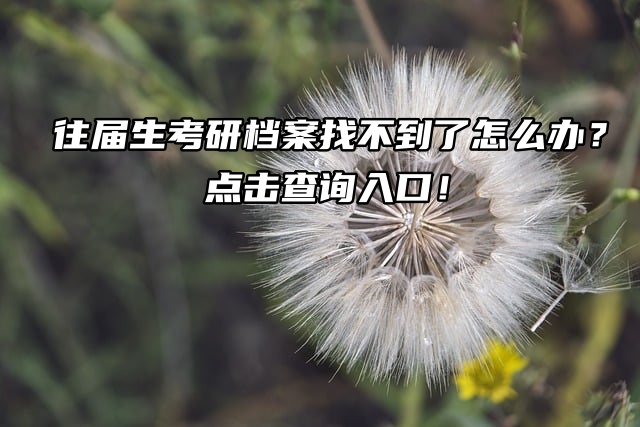 往届生考研档案找不到了怎么办？点击查询入口！