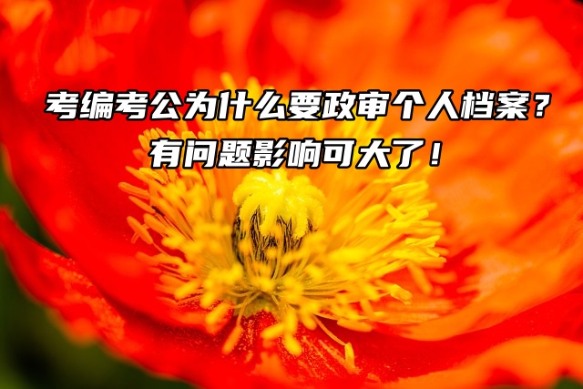考编考公为什么要政审个人档案？有问题影响可大了！