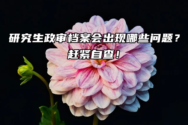 研究生政审档案会出现哪些问题？赶紧自查！