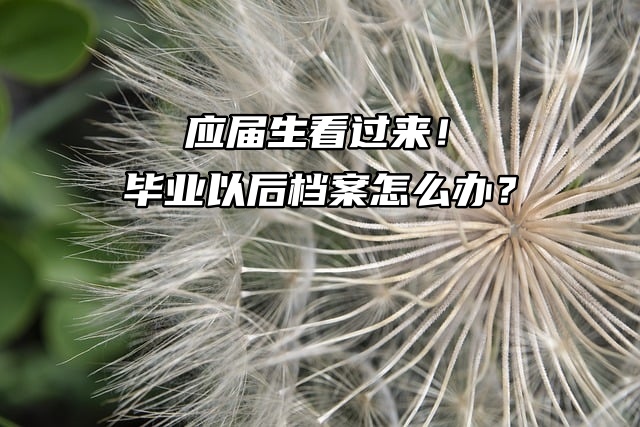 应届生看过来！毕业以后档案怎么办？