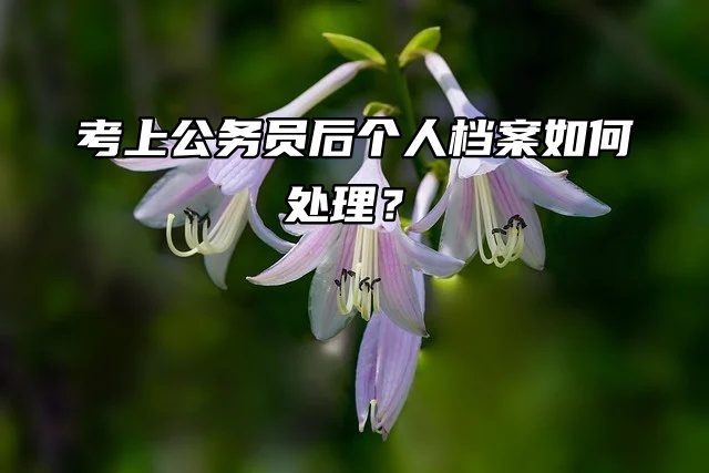 考上公务员后个人档案如何处理？