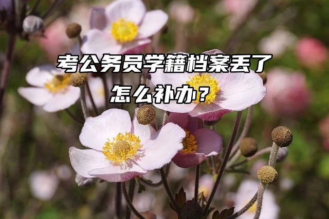 考公务员学籍档案丢了怎么补办？