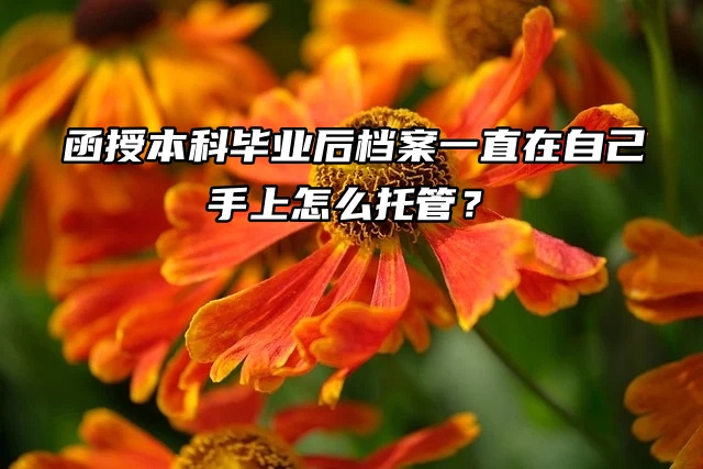函授本科毕业后档案一直在自己手上怎么托管？