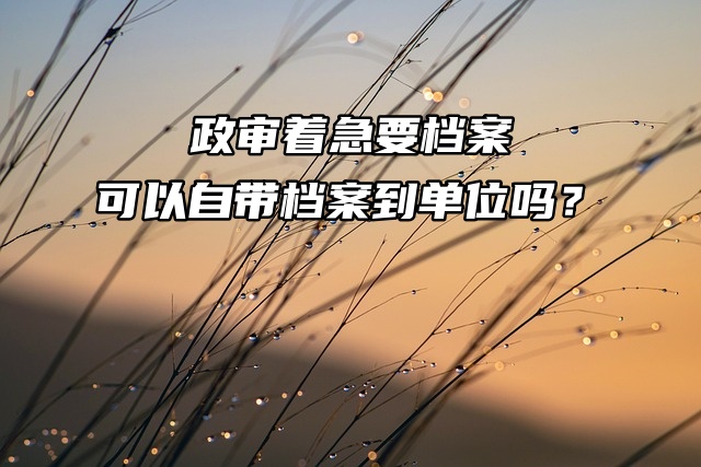 政审着急要档案，可以自带档案到单位吗？