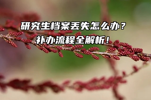 研究生档案丢失怎么办？补办流程全解析！