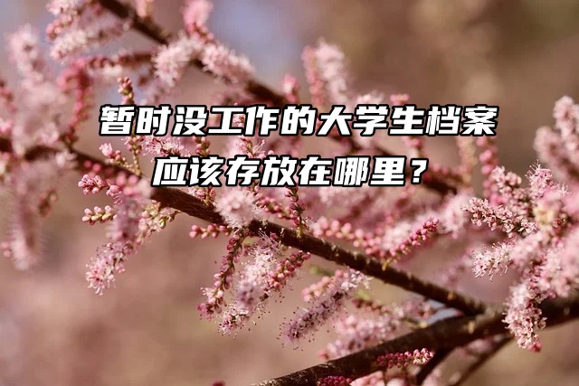 暂时没工作的大学生档案应该存放在哪里？