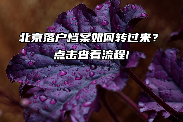 北京落户档案如何转过来？点击查看流程!