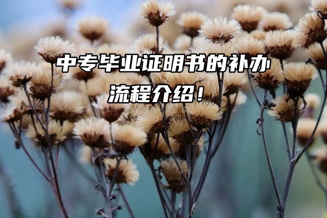 中专毕业证明书的补办流程介绍！