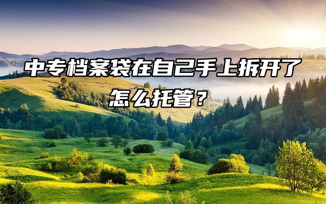 中专档案袋在自己手上拆开了怎么托管？