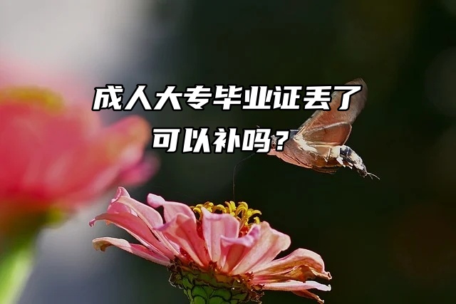 提问！成人大专毕业证丢了可以补吗？
