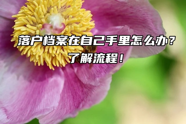 落户档案在自己手里怎么办？了解流程！