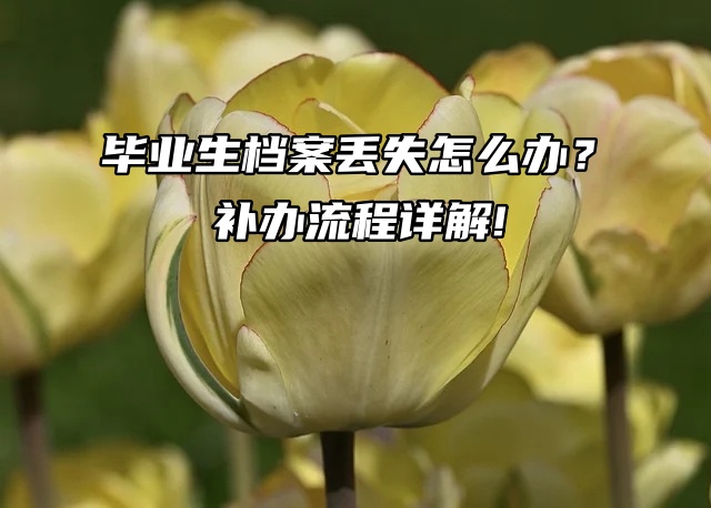 毕业生档案丢失怎么办？补办流程详解!