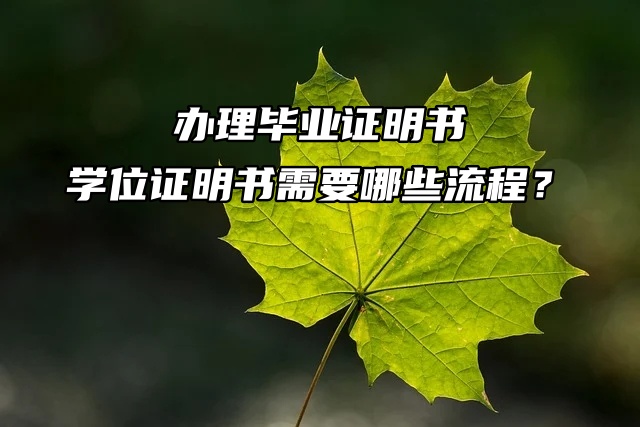毕业证丢失！办理毕业证明书、学位证明书需要哪些流程？