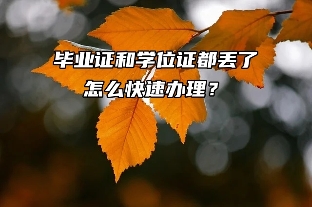 毕业证和学位证都丢了，怎么快速办理？