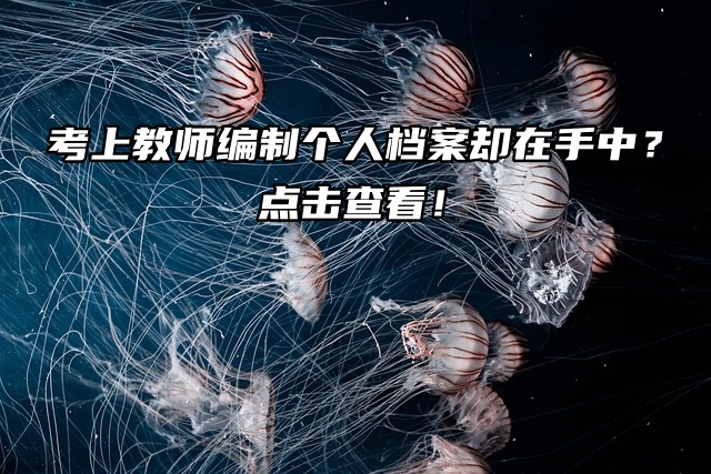 考上教师编制个人档案却在手中？点击查看！