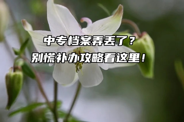 中专档案弄丢了？别慌补办攻略看这里！