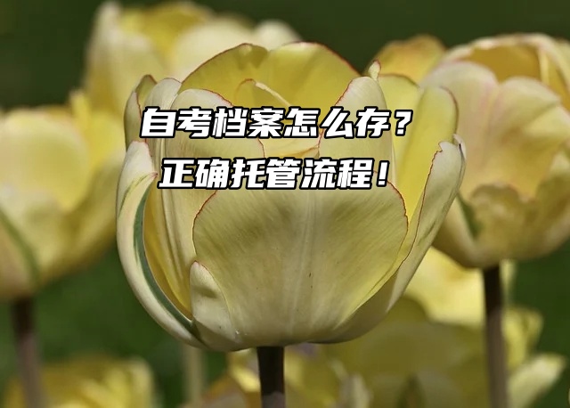 自考档案怎么存？正确托管流程！