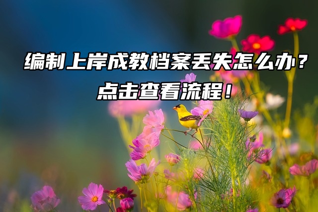 编制上岸成教档案丢失怎么办？点击查看流程！