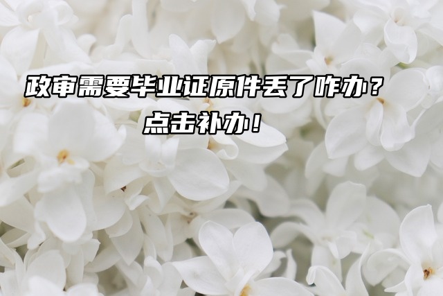 政审需要毕业证原件丢了咋办？点击补办！