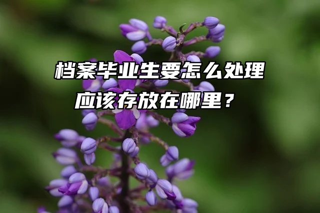 档案毕业生要怎么处理，应该存放在哪里？