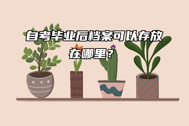 毕业生须知：自考毕业后档案可以存放在哪里？