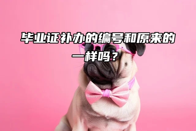 毕业证明书：毕业证补办的编号和原来的一样吗？
