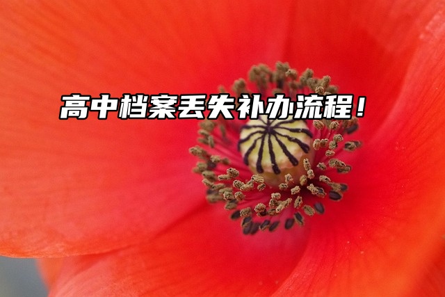 考编须知：高中档案丢失补办流程！