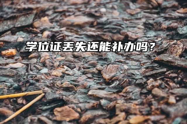 着急！学位证丢失还能补办吗？
