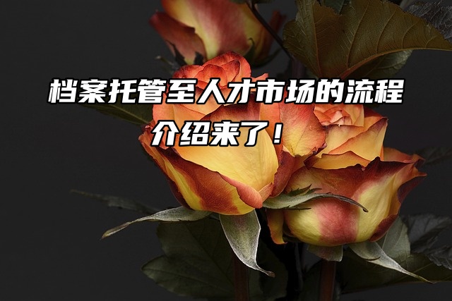 档案托管至人才市场的流程介绍来了！