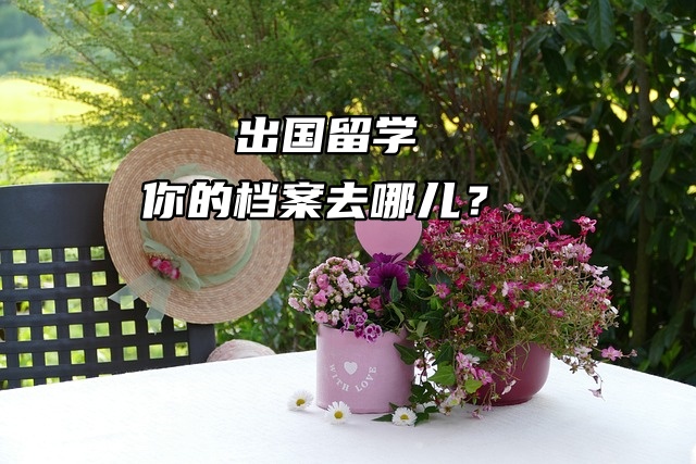 出国留学，你的档案去哪儿？