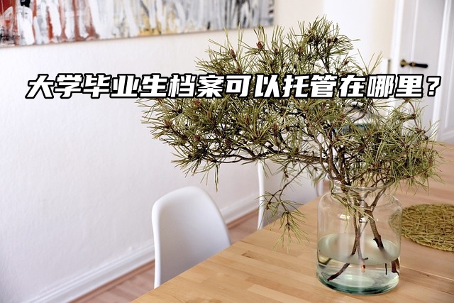 大学毕业生档案可以托管在哪里？